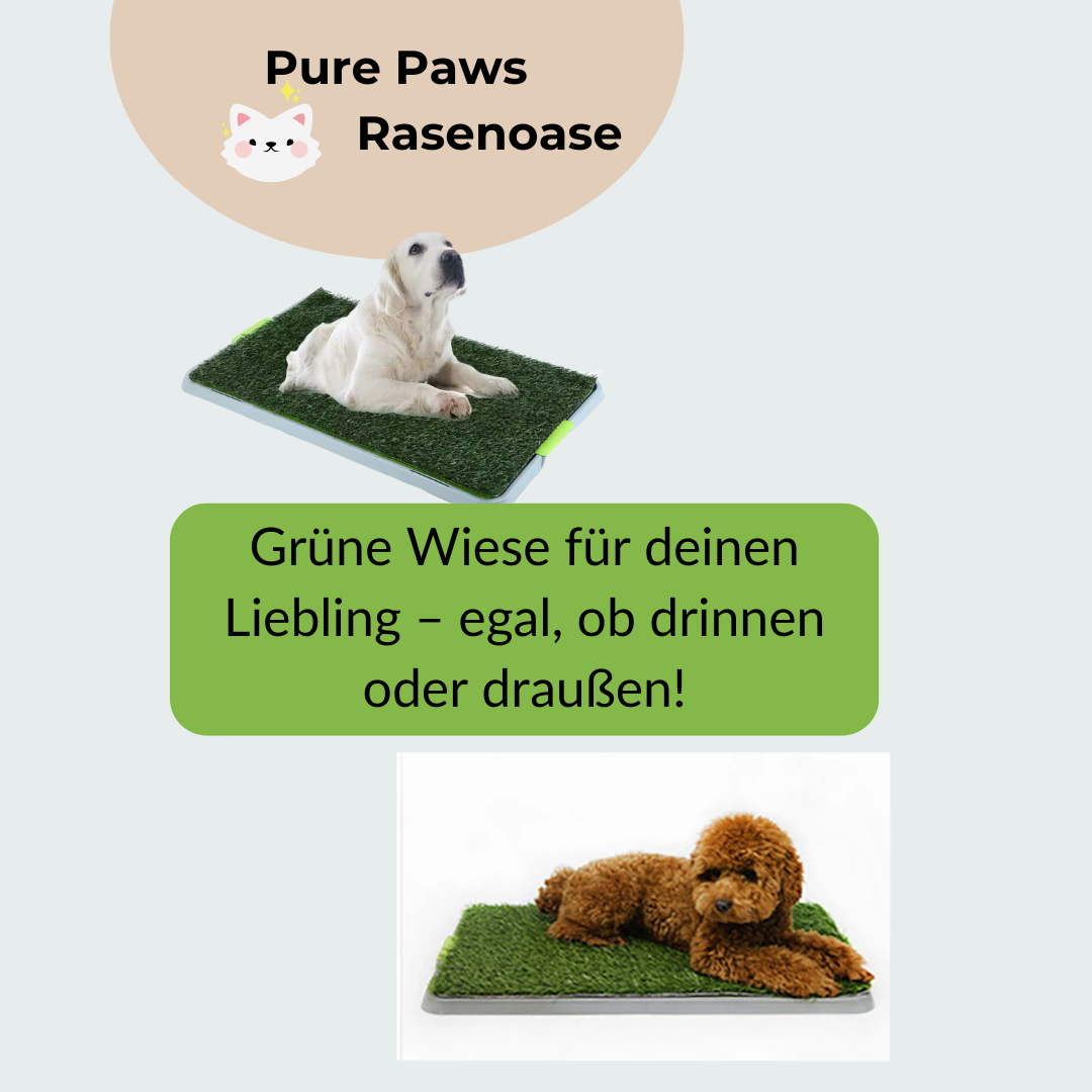 Pure Paws Rasenoase