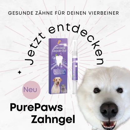 Pure Paws Zahngel