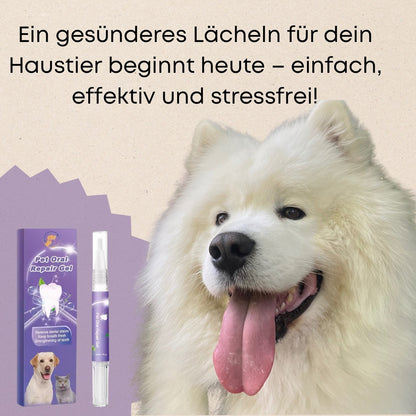 Pure Paws Zahngel
