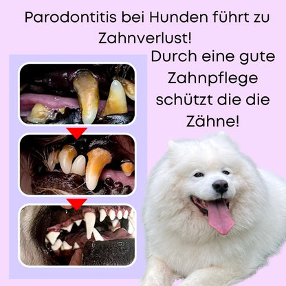 Pure Paws Zahngel