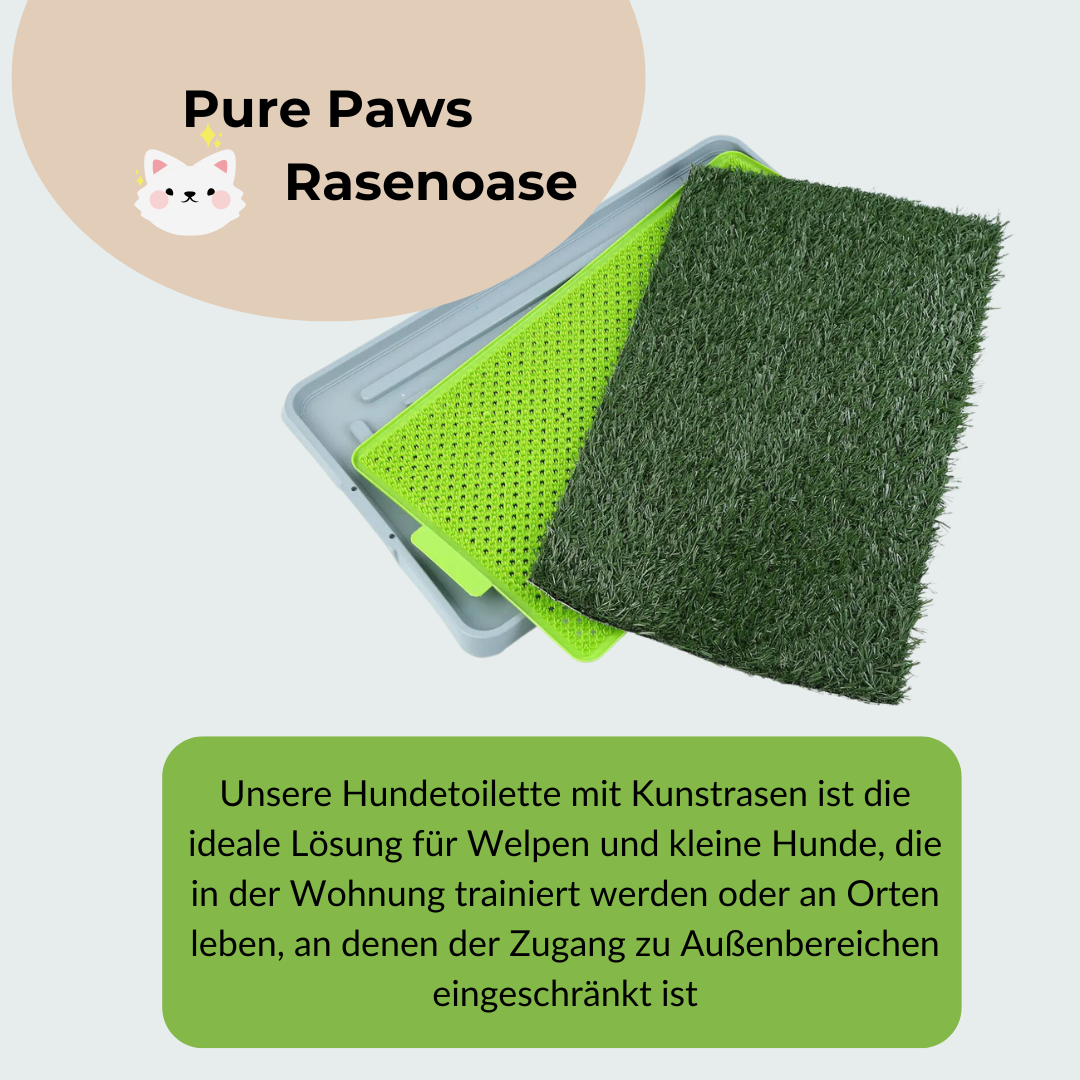 Pure Paws Rasenoase